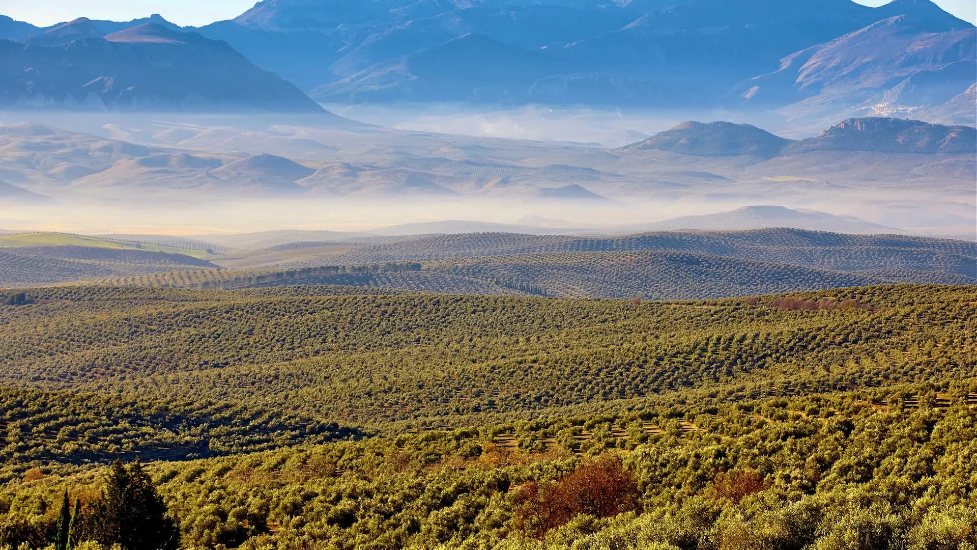 Saturday - Departure Saturday - Departure